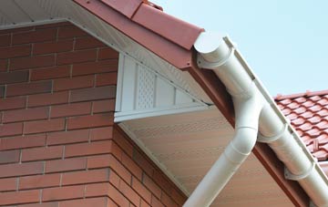 Thong soffit repair costs